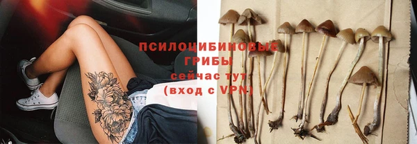 ешки Алексеевка