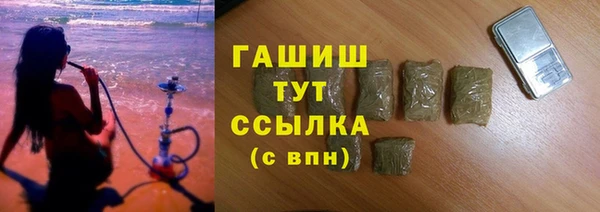 прущие грибы Алзамай