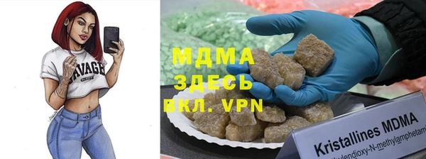 прущие грибы Алзамай