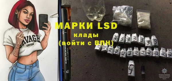 прущие грибы Алзамай