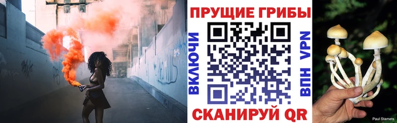 Псилоцибиновые грибы MAGIC MUSHROOMS  МЕГА вход  Тюмень  где купить наркоту 