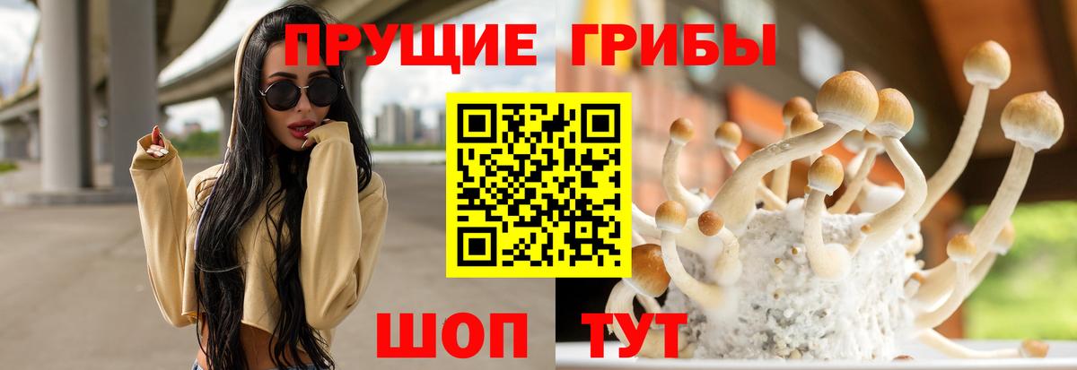 Псилоцибиновые грибы Psilocybe  Вход с VPN  Псилоцибиновые грибы мицелий  Тюмень 